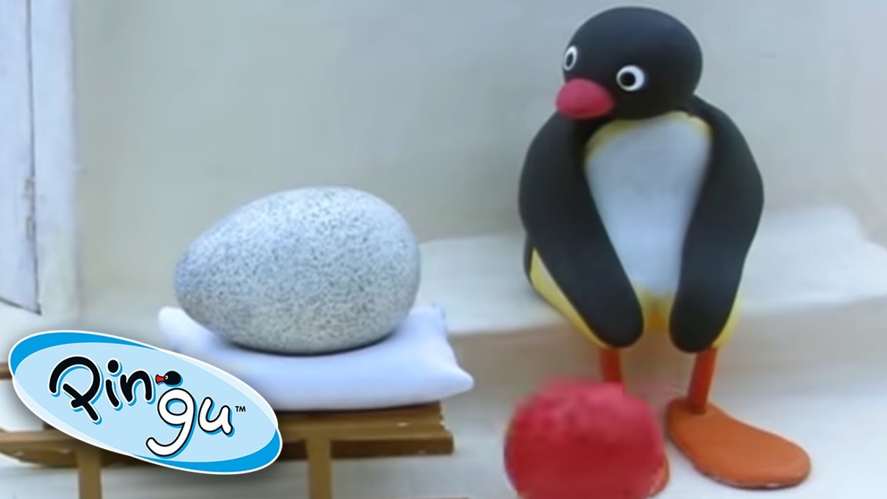Pingu and the Mix Up! | Pingu Official | Cartoons for Kids