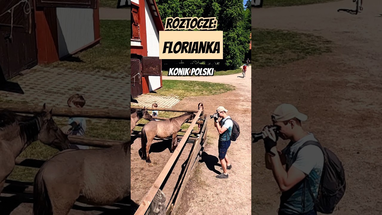 Florianka - ostoja konika polskiego 