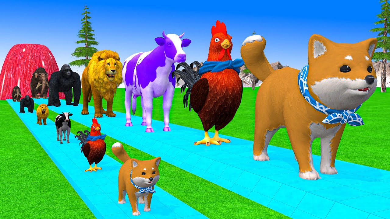 Long Slide Game With Cow Elephant Gorilla Hippopotamus Tiger - 3d Animal Game - Funny 3d Animals