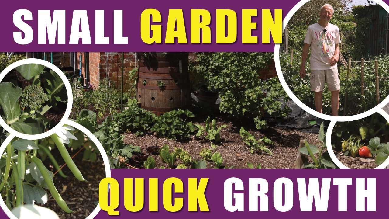 Small Garden No Dig Tour: From Frost to Heatwave in May