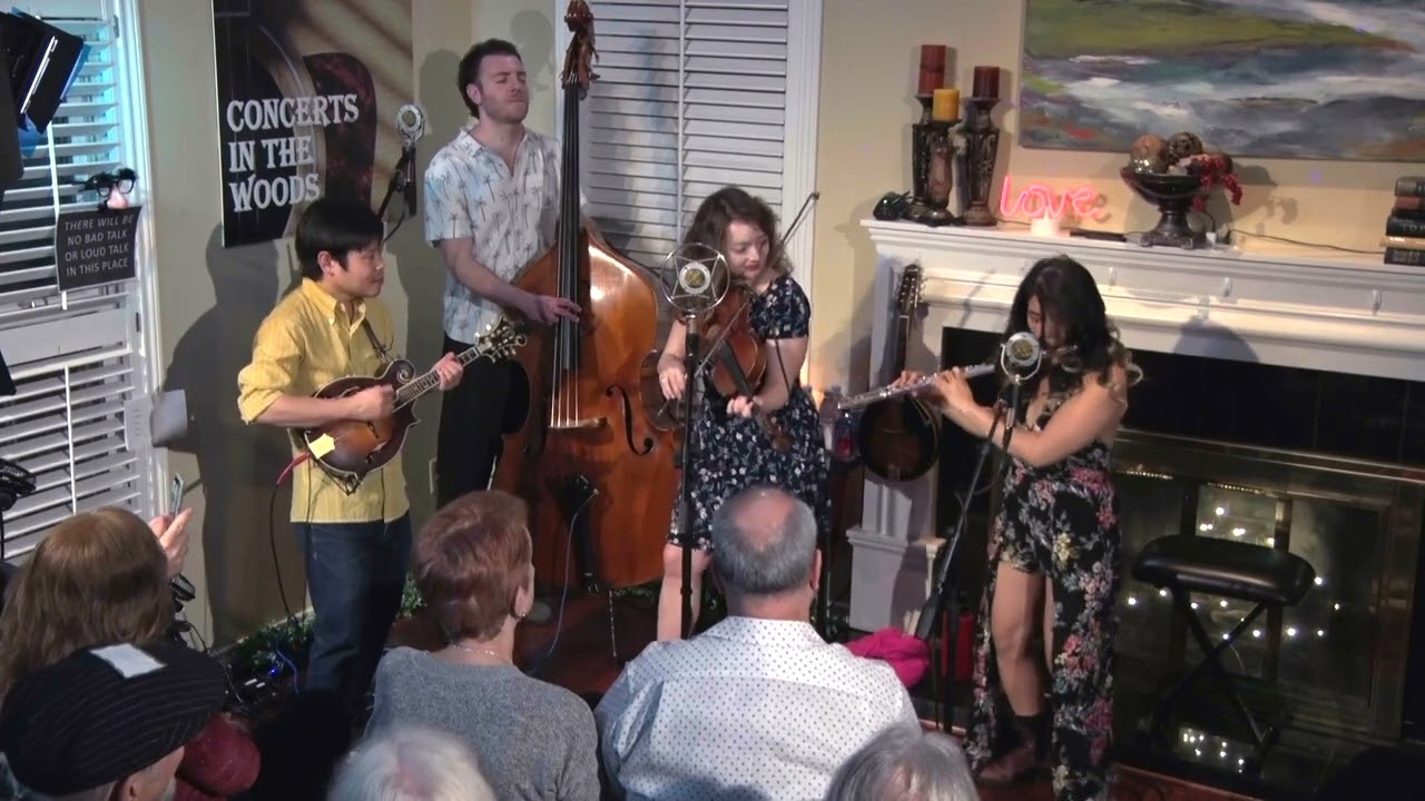 Twisted Pine performs Lucy In The Sky With Diamonds