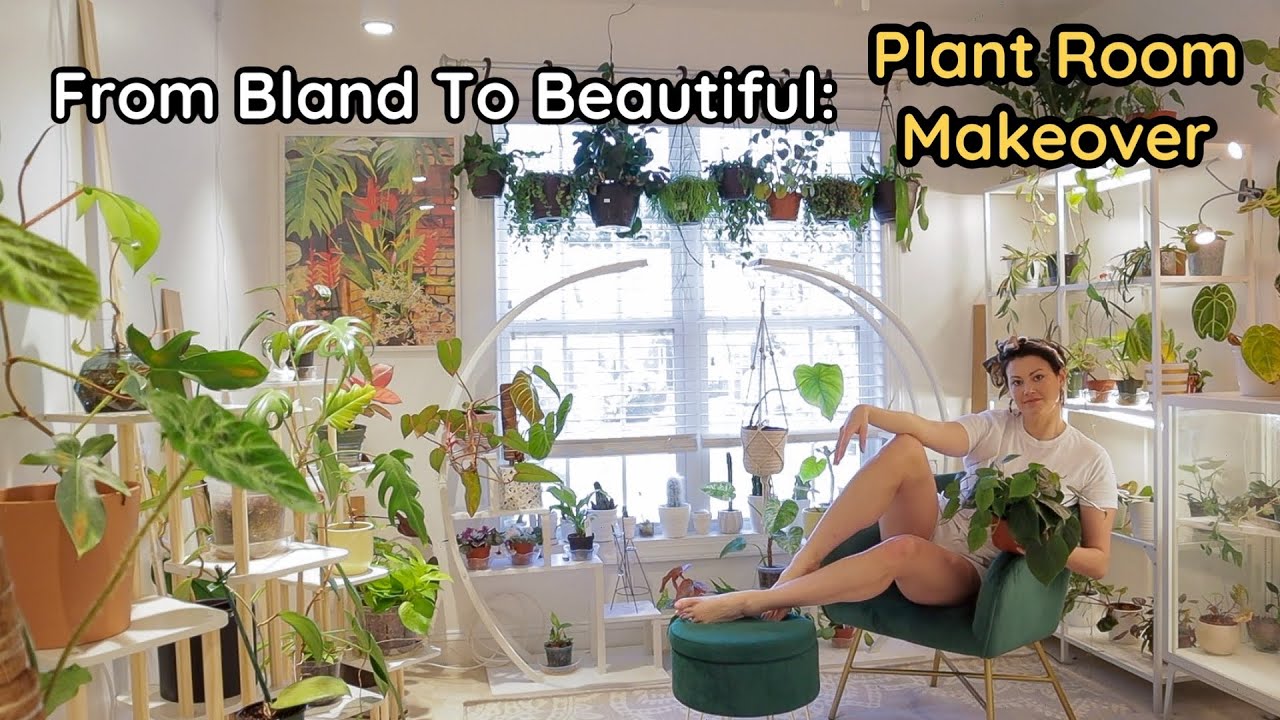 Plant Room Makeover and Adding Grow Lights for Ultimate Plant Growth - Before, During & After