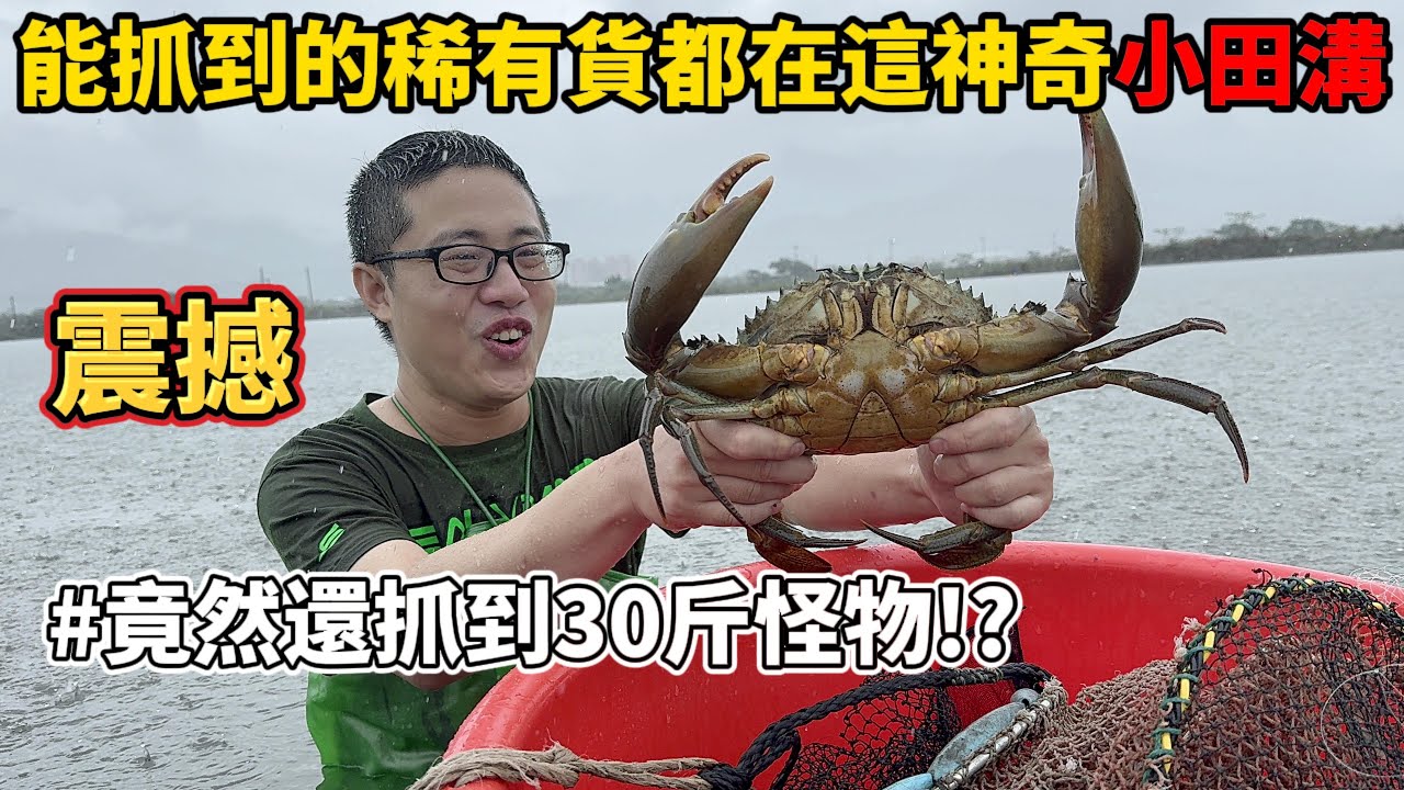 《廢棄田水溝》離譜生態 什麼都有 花蟹 沙公沙母 草蝦 沙蝦 淡菜 竟然還有超級怪物30斤!?刷新我三觀 不廢話直接水溝全餐吃起來!!!#料理 #趕海 #抓海鲜