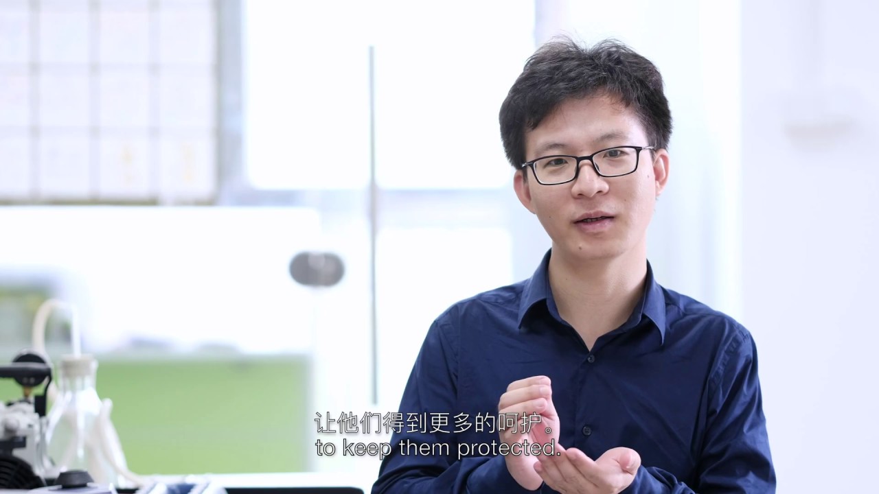 Gene Surgery in Embryos: An Embryologist Explains How It Works