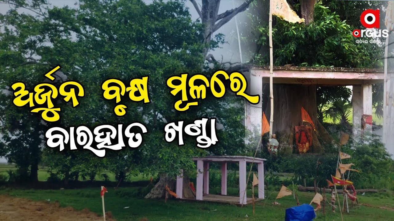 12 Handed Long Sword To Come Out Of Arjuna Tree In Gohiratikiri
