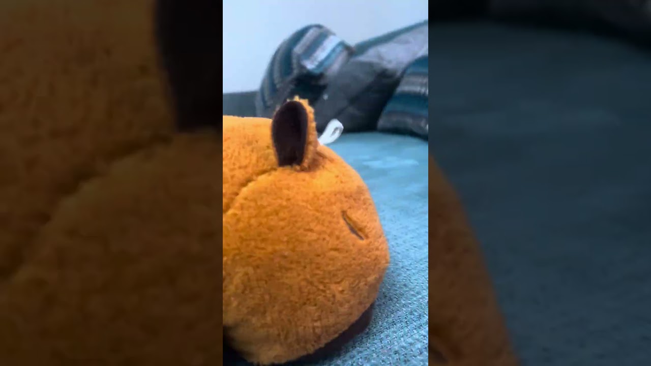 Issız ada 2