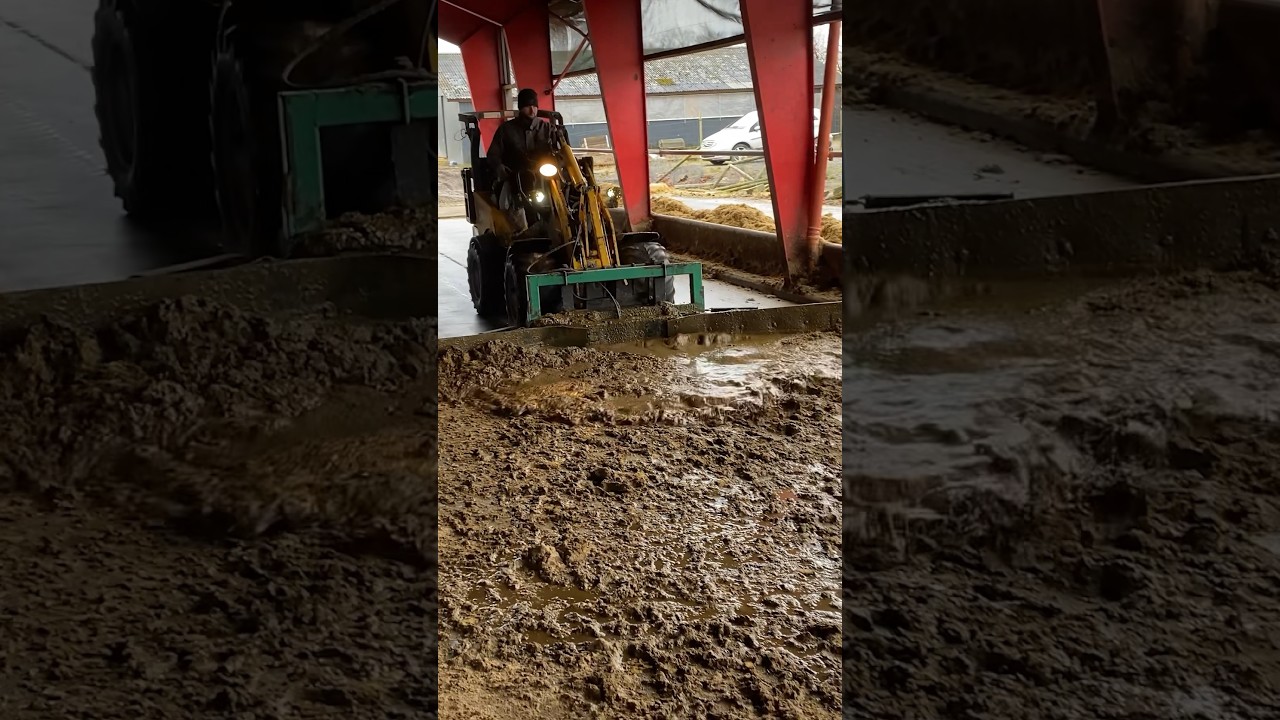 What Cleaning After Cows Looks Like #farm #machinery
