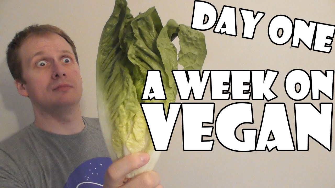 A Week On Vegan DAY ONE