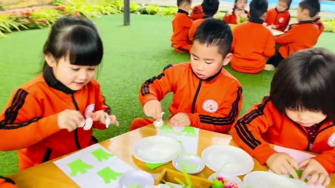 HĐTN: Tạo hình cây súp lơ Lớp 5-6 tuổi A2