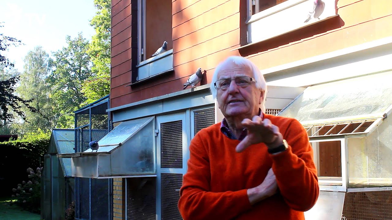 Wolfgang Roeper Interview Part 13/26 Jungtaubenspiel (Brieftauben)