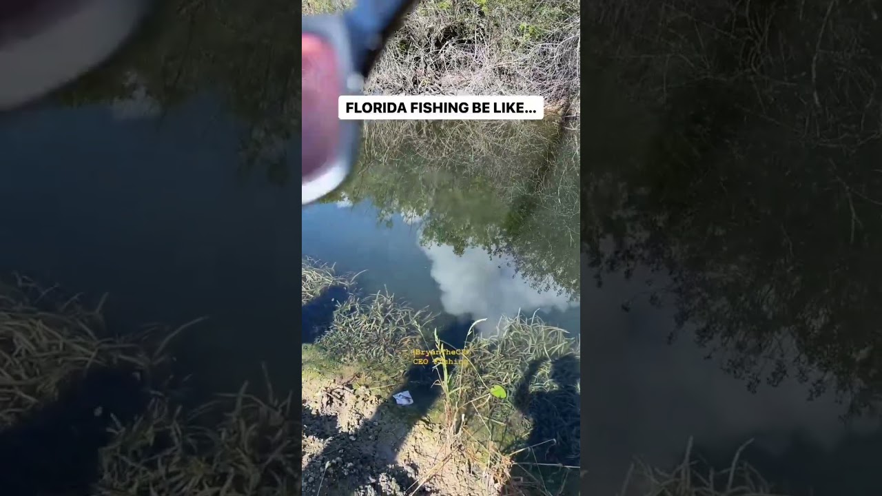 FISHING IN FLORIDA BE LIKE...