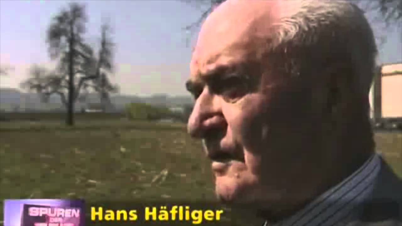 Schweizer Kampfjets   Filz Skandale und Abstürze