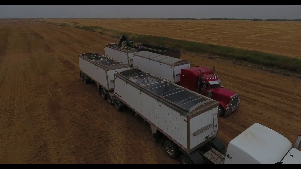 Starland Farming Co.    2020