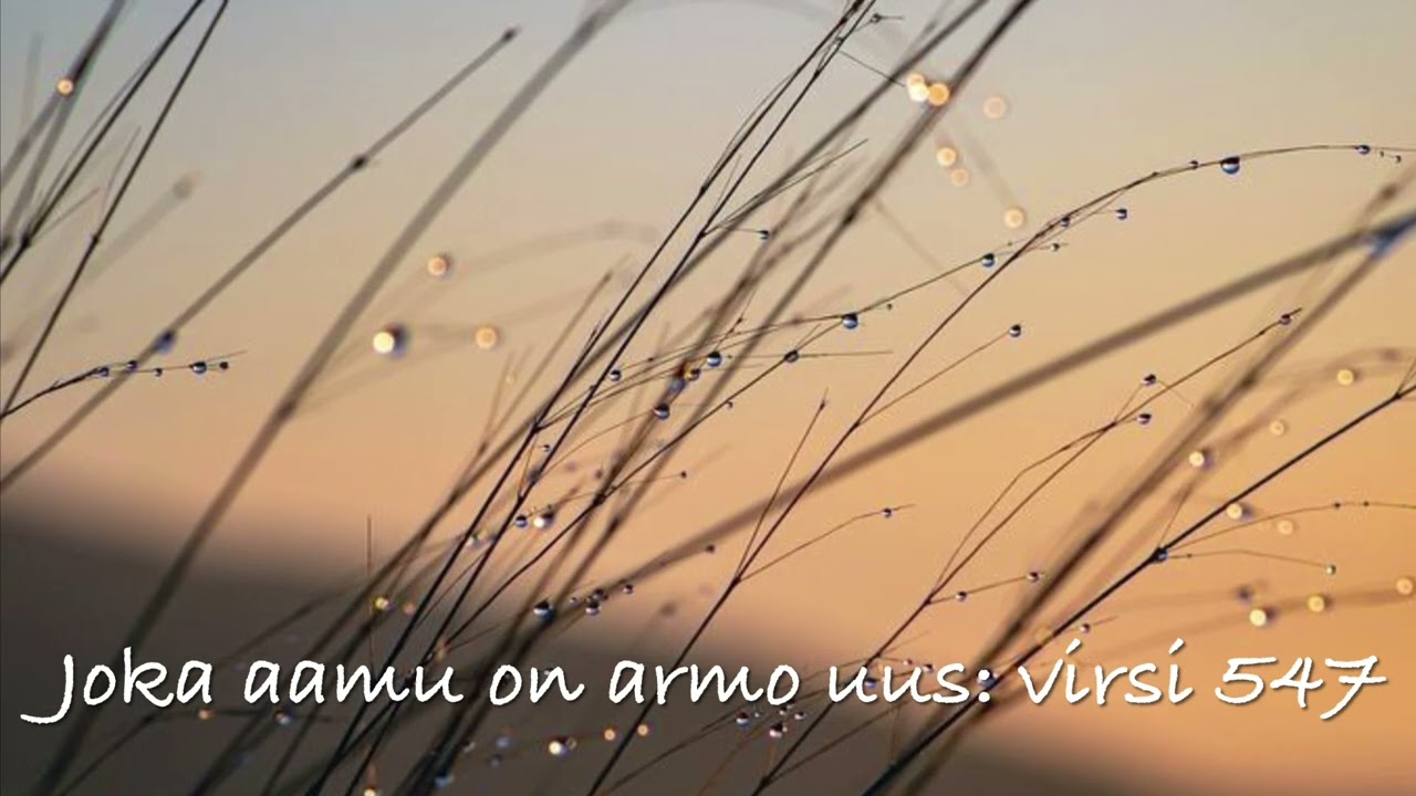 Joka aamu on armo uus, virsi 547
