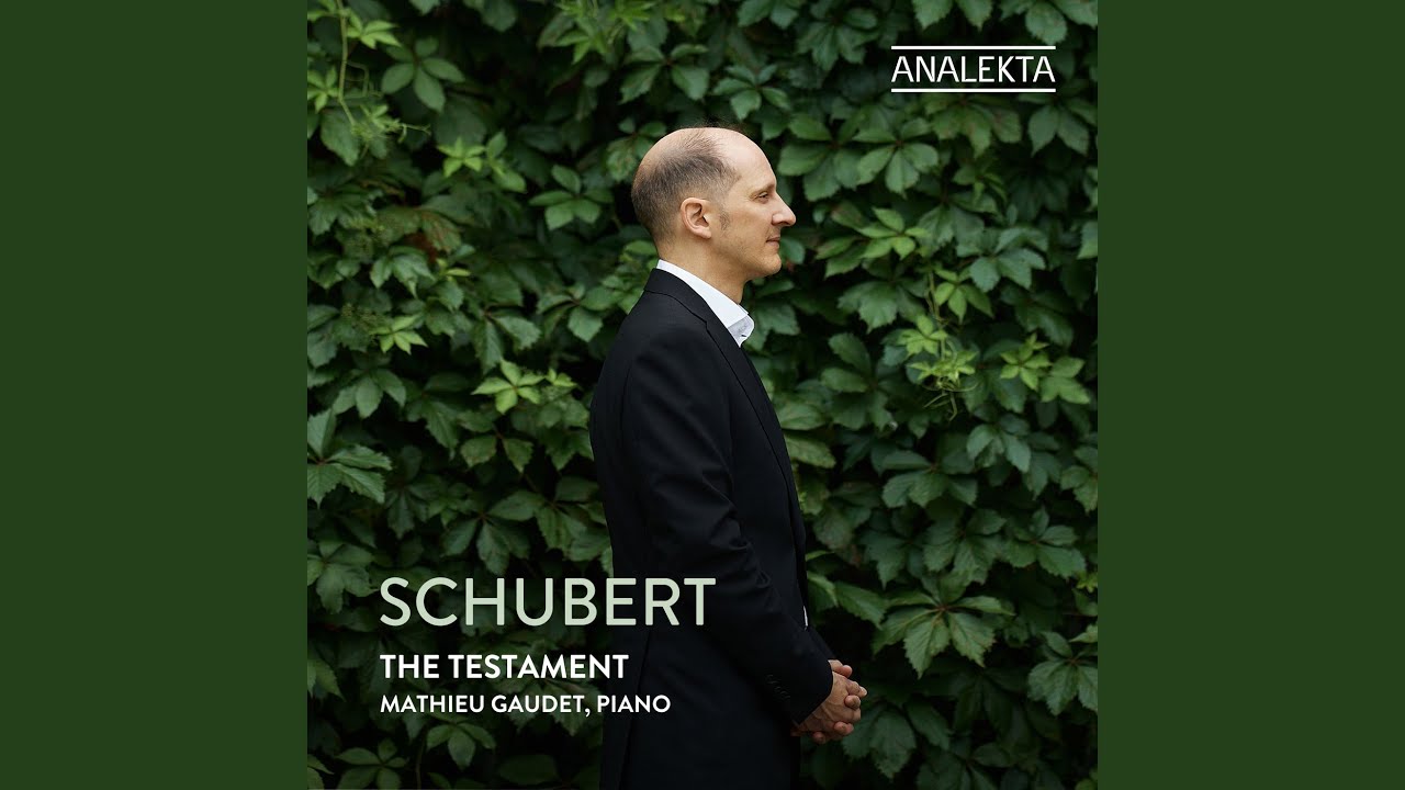 Piano Sonata No. 20 in B-Flat Major, D. 960: III. Scherzo & Trio. Allegro vivace con delicatezza