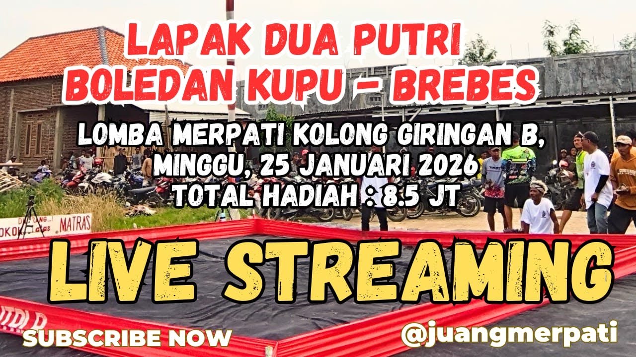 Live streaming  Lomba Merpati Dua Putri, minggu,  25 Januari 2026 ( Total Hadiah : 8.5jt )