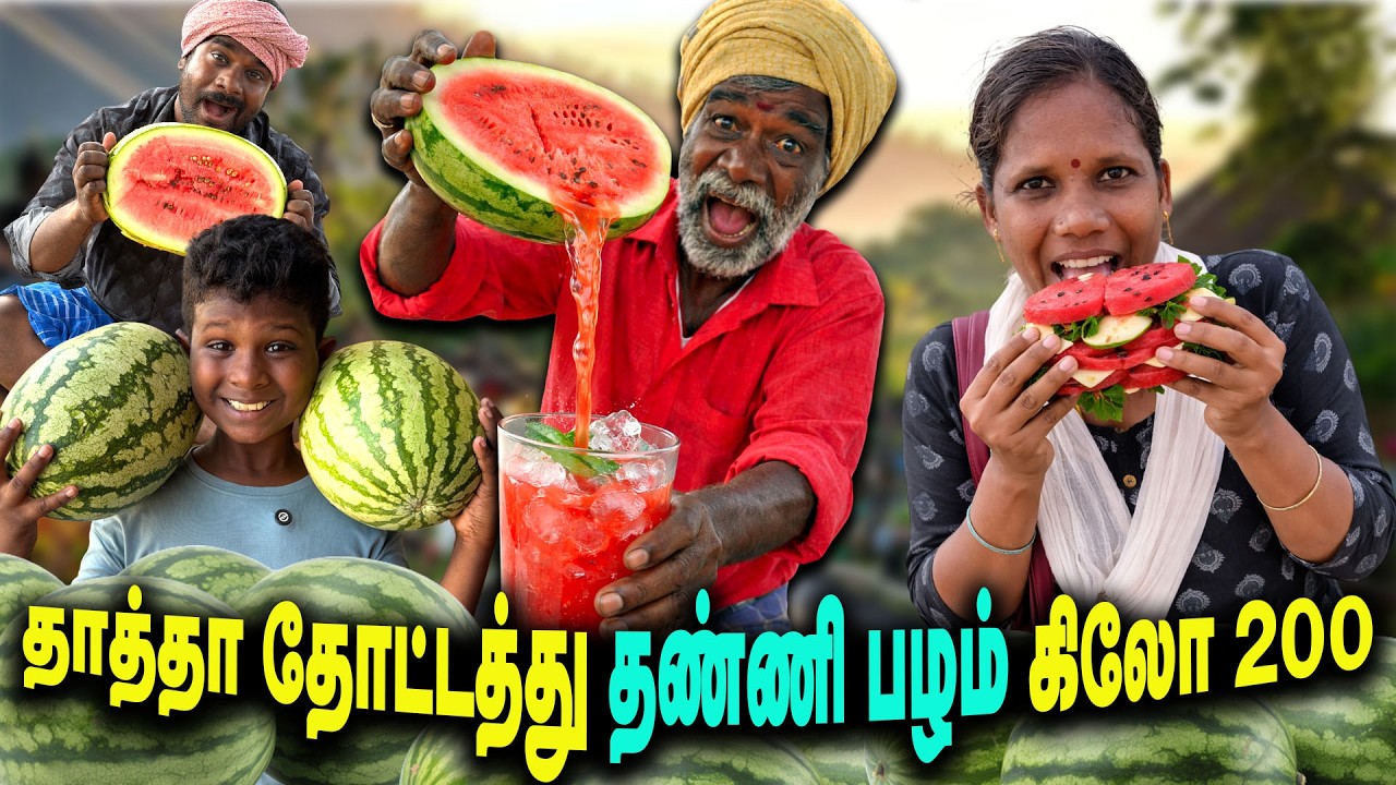 தாத்தா தோட்டத்து தண்ணி பழம் கிலோ 200  || Thakali comedy