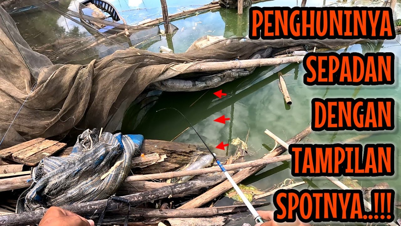 TIDAK MENGECEWAKAN ‼️ IKANNYA SEPADAN DENGAN TAMPILAN SPOTNYA || mancing ikan red devil NAHOL MANIA