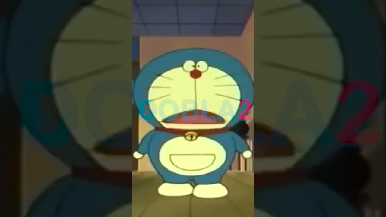 Cabeza de gato te aconseja y te prepara para las elecciones presidenciales 2023 - Dobla2