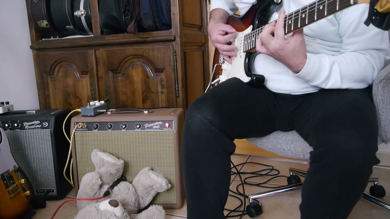 Fender Princeton Chris Stapleton with Suhr stratocaster HSS