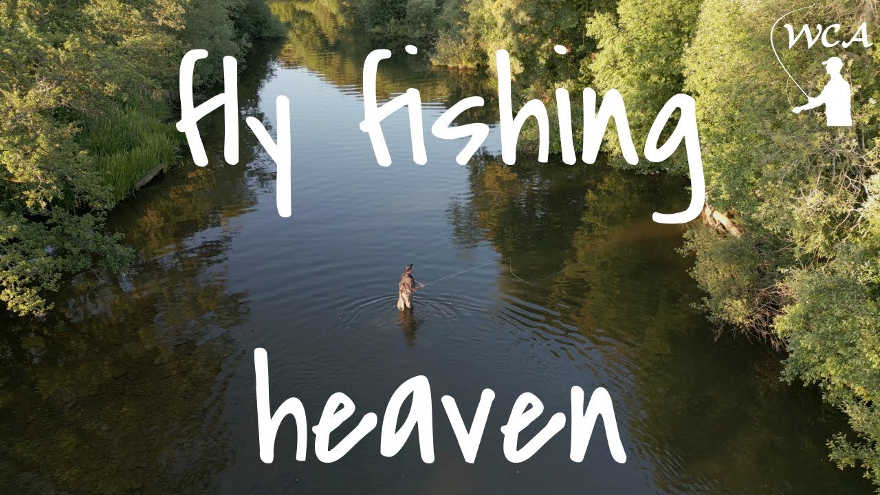 An Evening Fly Fishing for the Wild Brown Trout in Devon