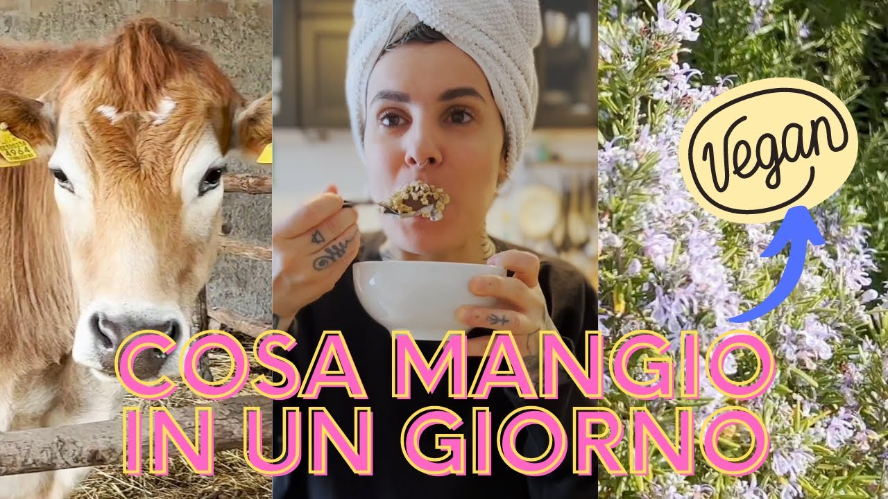 COSA MANGIO IN GIORNO | in un agriturismo VEGANO CON GLI ANIMALI