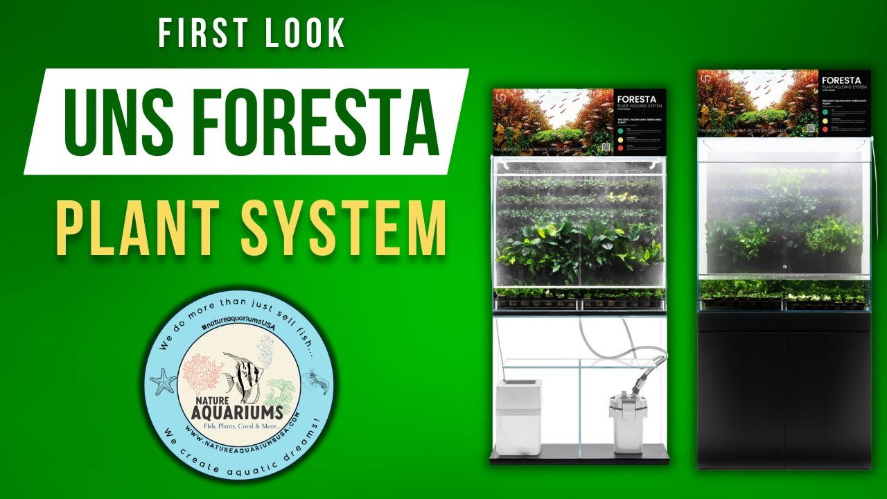 Explore the New UNS Foresta Plant Holding System for Retailers | Exclusive Preview!