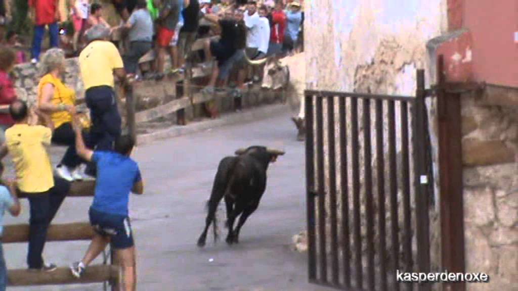 ENCIERRO CALLES MORATILLA DE LOS MELEROS 2015