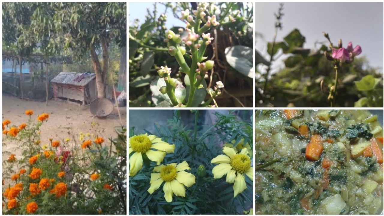 🌿🌿উঠানের কিছু সবজি দিয়ে সবজি রান্না করলাম। 🌿🌿@faridakitchenwithvlog#foryou..