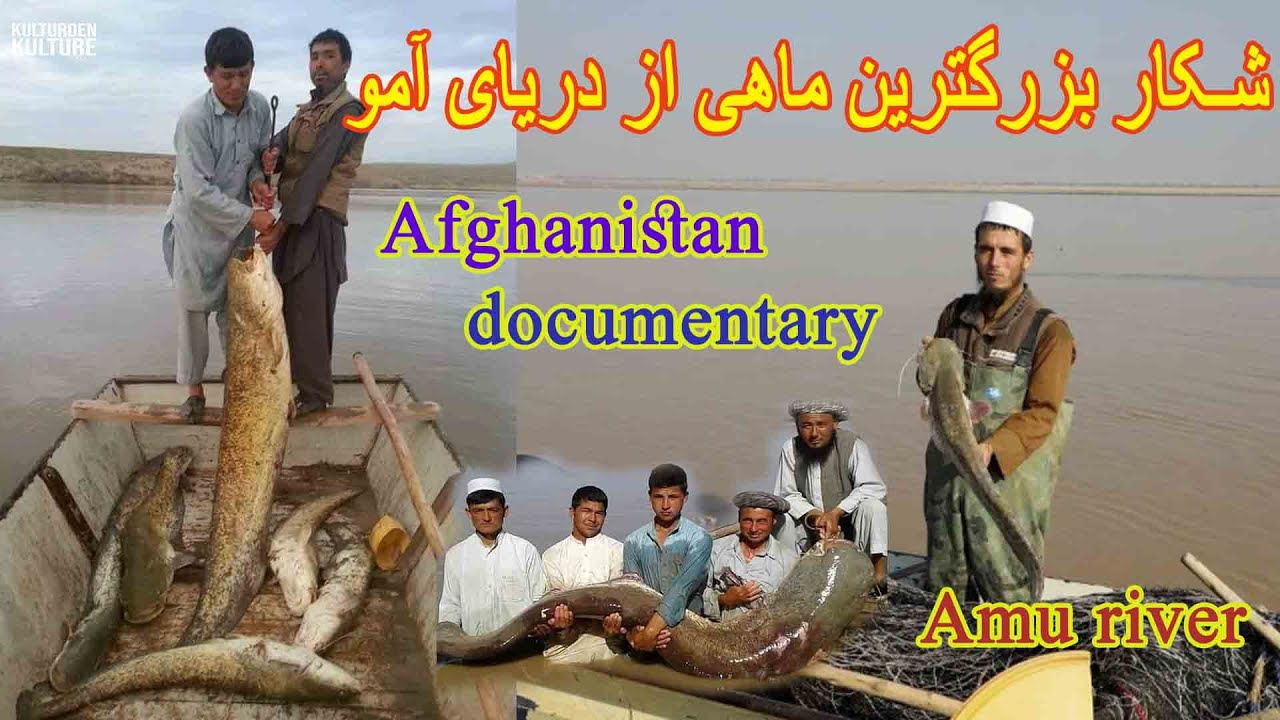 زندگی روزانه مردم کنار دریای آمو وکانال قوش تپه| Hunting fish in Afghanistan Amu River