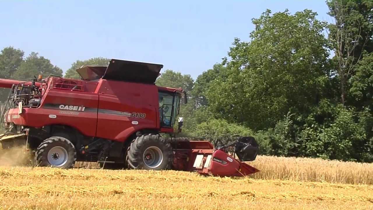 Moissonneuse batteuse Case IH 6130 - démonstration Lesage