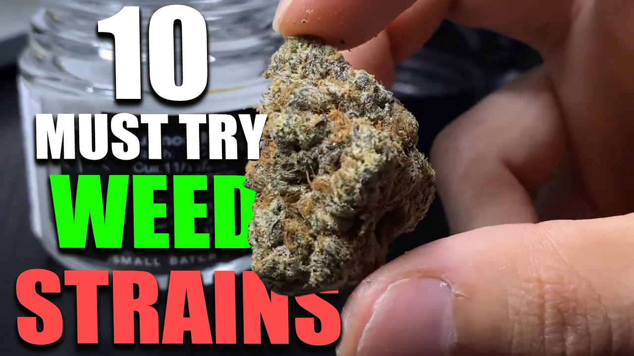 10 MUST TRY Cannabis Strains for 2024!