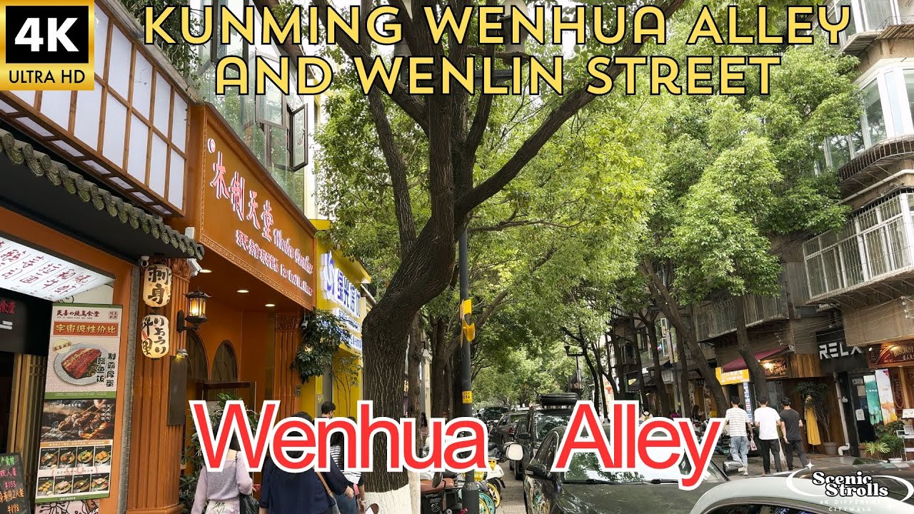 Discover the Unique Charm of Kunming's Wenhua Alley and Wenlin Street #Travel Vlog  #China Travel