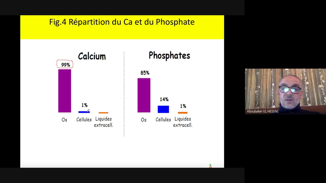 Métabolisme phosphocalcique - Module: Endocrinologie fondamentale SVI S6