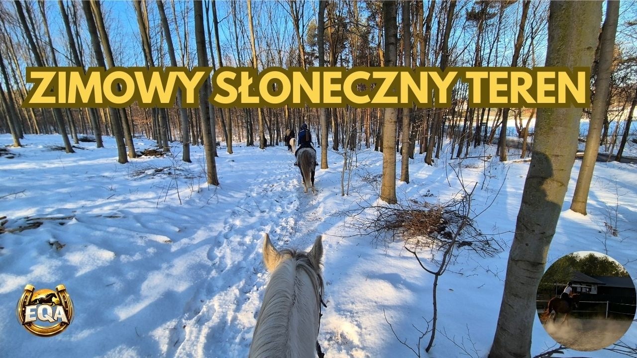 Jazda konna po zmrożonym podłożu – Piękny teren, las i ważne zasady ❄️☀️ 4K