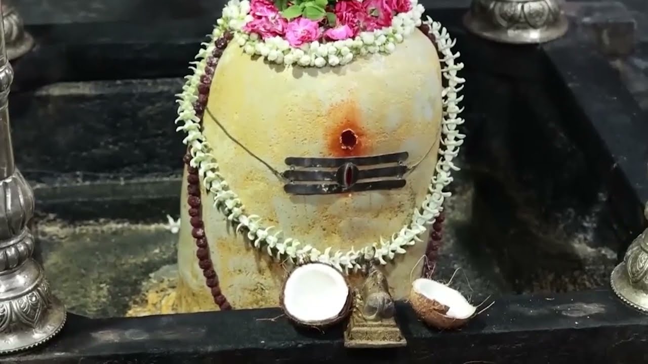 మహాశివరాత్రికి కూటమి ప్రభుత్వం ప్రజల దర్శన సౌకర్యార్థం పాదగయ క్షేత్రంలో సమీక్ష.