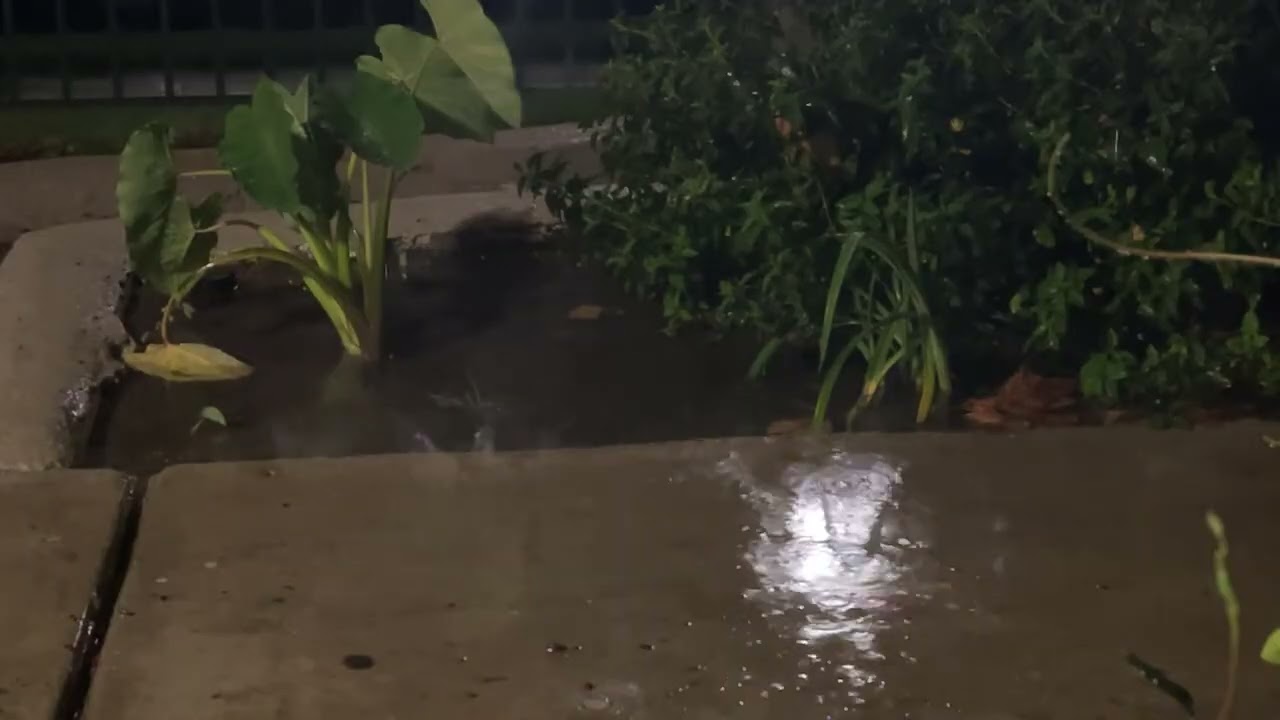 Highlight 53:38 - 58:38 from Rain Sounds