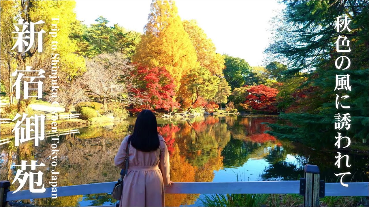 東京・新宿御苑の紅葉散歩｜秋色に染まる都会の庭園を歩く | Tokyo Autumn Leaves Walk
