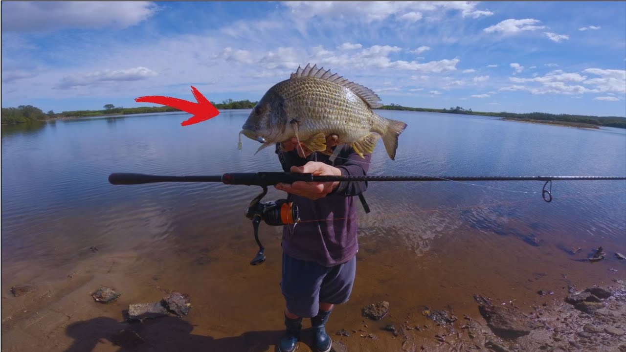 FISHING ESTUARYS FOE BIG FISH!!??!(SYDNEY ESTUARIES ARE INFINITE FISH HACK)