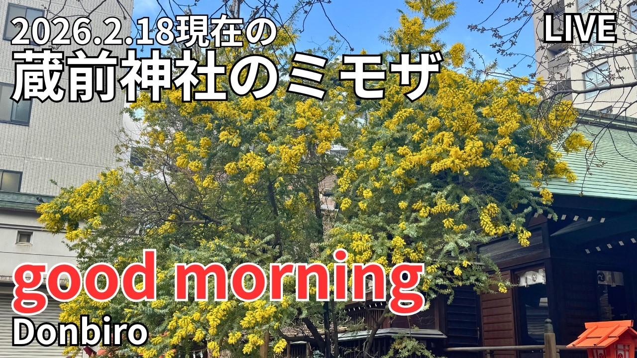 [出勤ライブ]東京スカイツリーから、浅草寺、蔵前神社まで歩く✨[Work Live] Walk from Tokyo Skytree to Sensoji Temple and Kuramae Shr