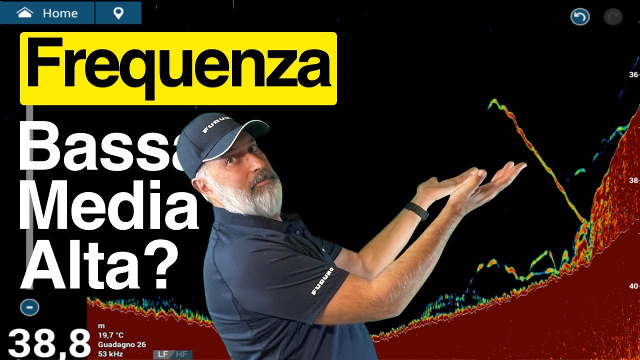 FREQUENZA ECOSCANDAGLIO: Meglio Bassa, Media o Alta?