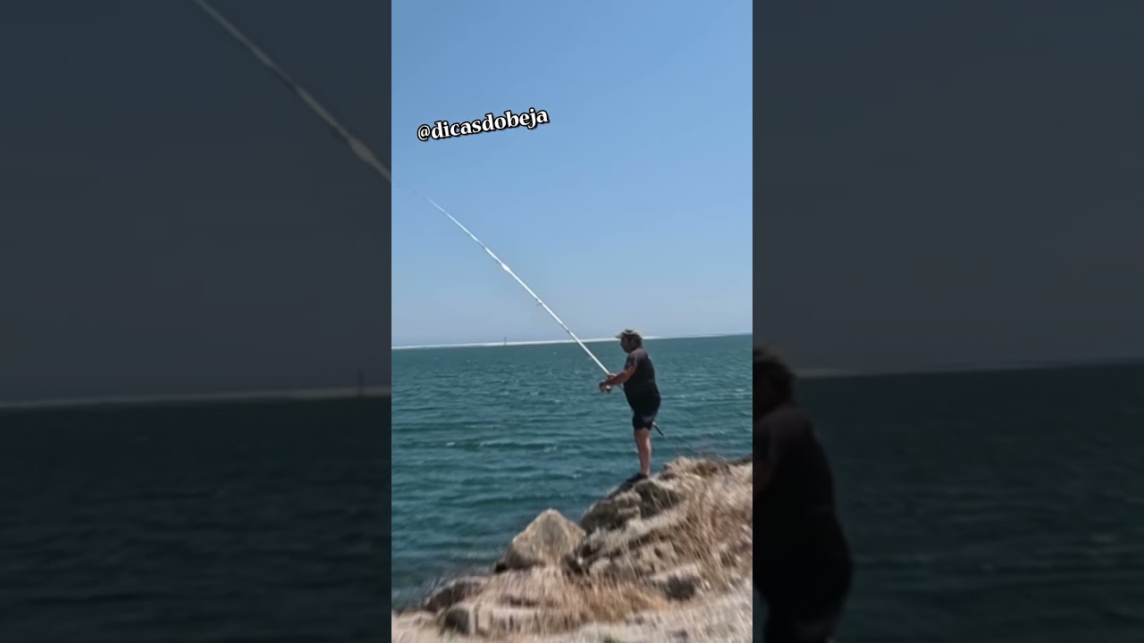 PICADA EM DIRETO NA SECIL 