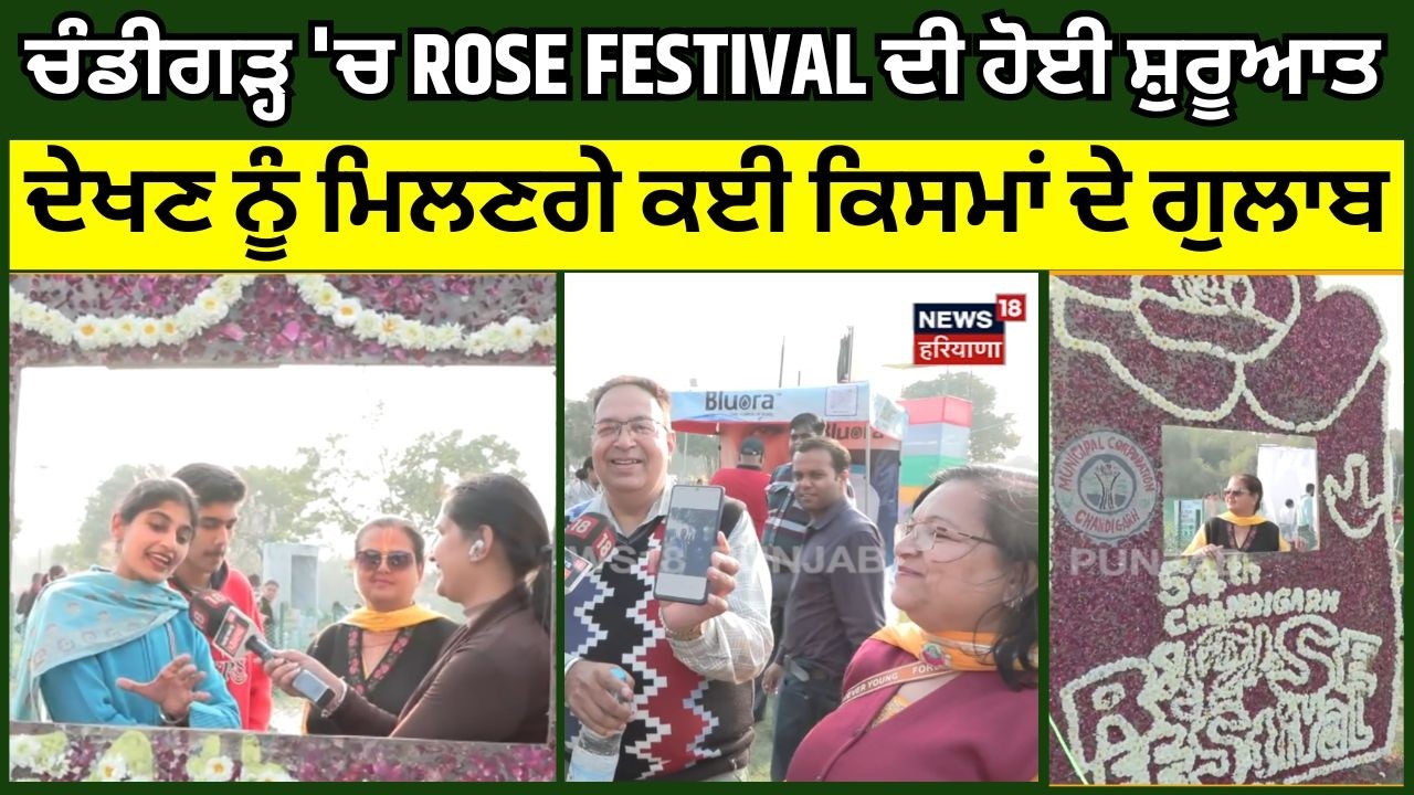 Chandigarh 'ਚ ROSE FESTIVAL ਦੀ ਹੋਈ ਸ਼ੁਰੂਆਤ, ਦੇਖਣ ਨੂੰ ਮਿਲਣਗੇ ਕਈ ਕਿਸਮਾਂ ਦੇ ਗੁਲਾਬ | N18V