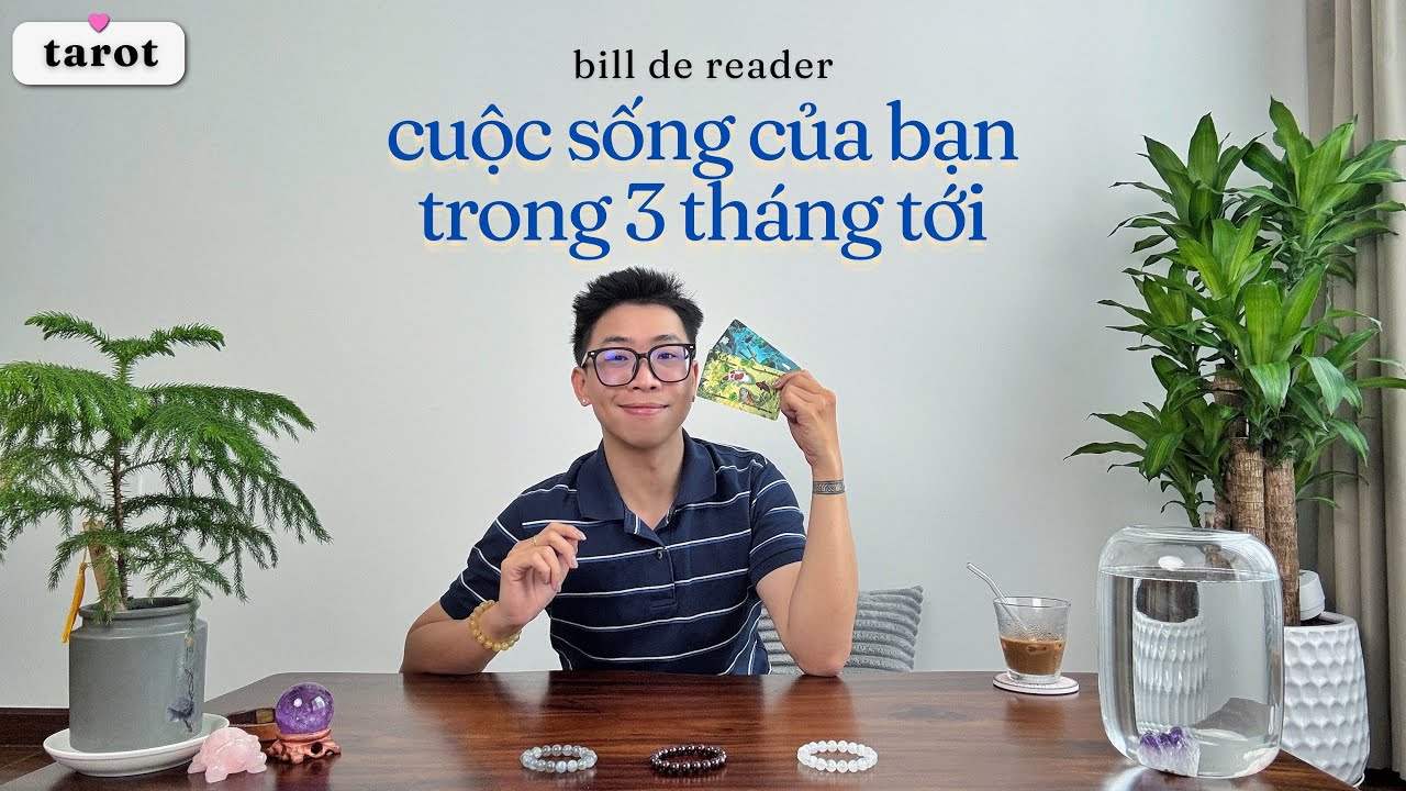 ✨ Cuộc sống của bạn từ giờ đến cuối năm 🌹 | tarot timeless 🔮