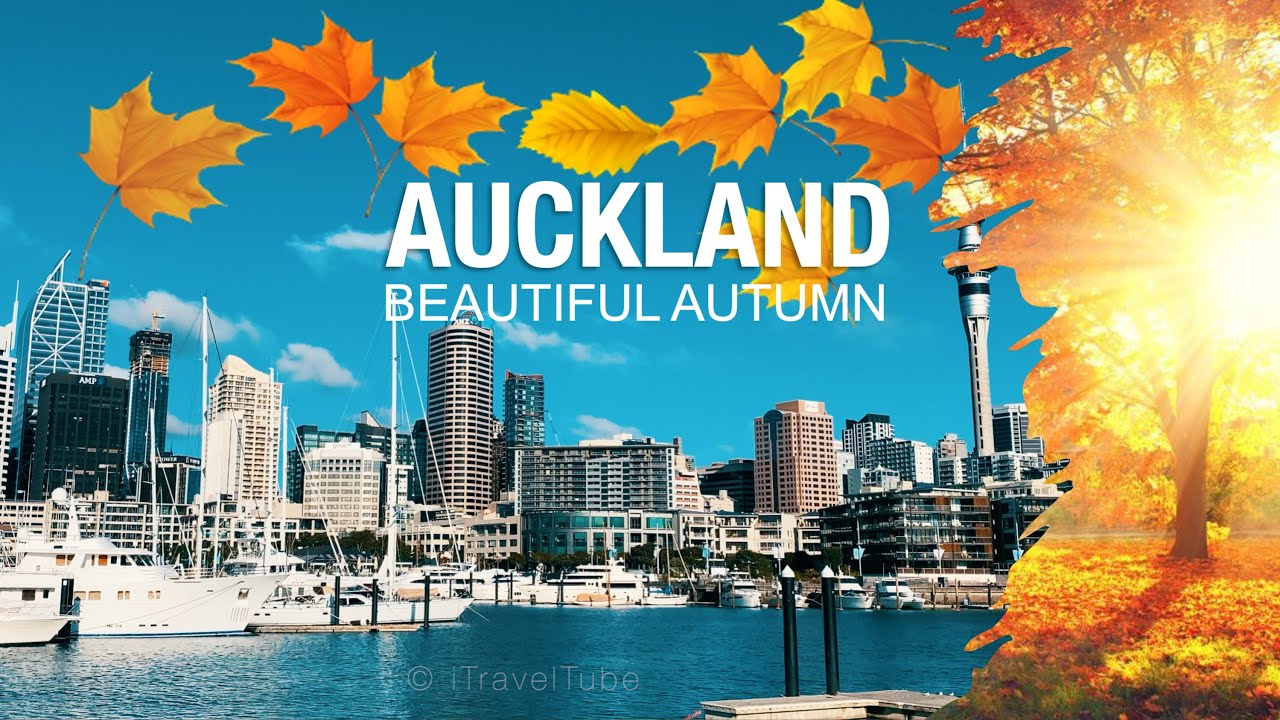 Autumn in Auckland, New Zealand - The First Covid-19 Lockdown Autumn in 2020