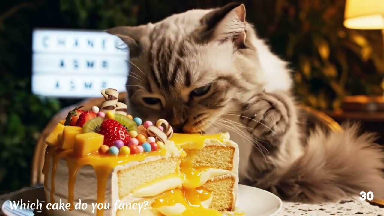 A cat eating delicious cakes, is this possible???
