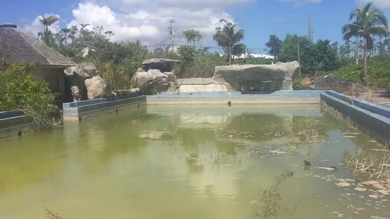 Abandoned Princess Hotel, Freeport Bahamas