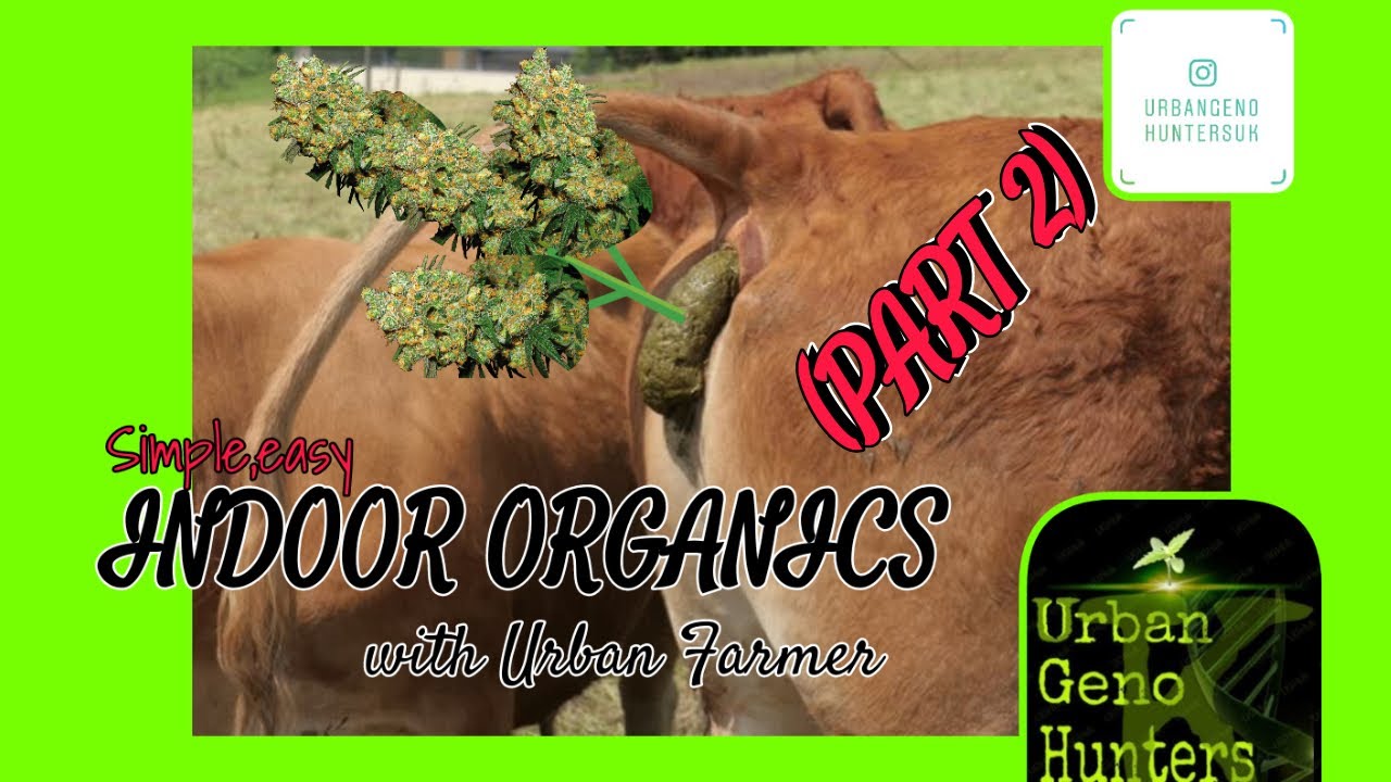 Urban farmers #weedgrow #weedgrower #strains FLOWERING PART 2 ( 400w hps 75w L.E.D)