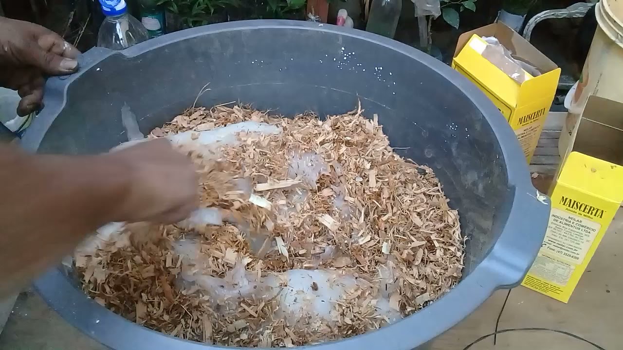vaso feito de serragem e fibra de coco e arame super reforçado  dica na descrição