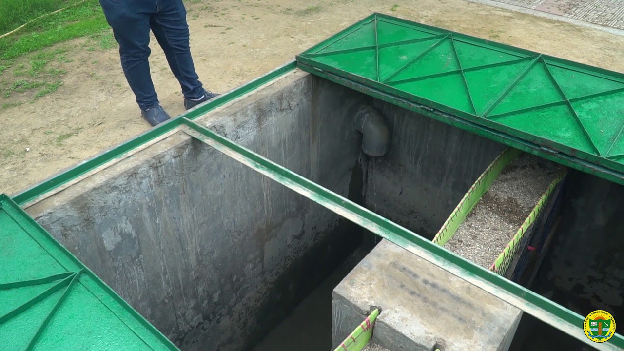 Rain water harvesting